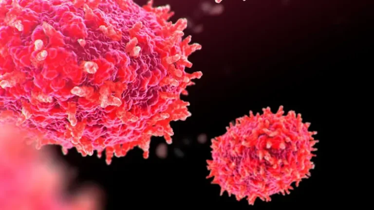 93b38970-5be5-11ef-94a7-f1e60611b99f.jpg (1)