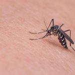 IMG_20240819_114348_091