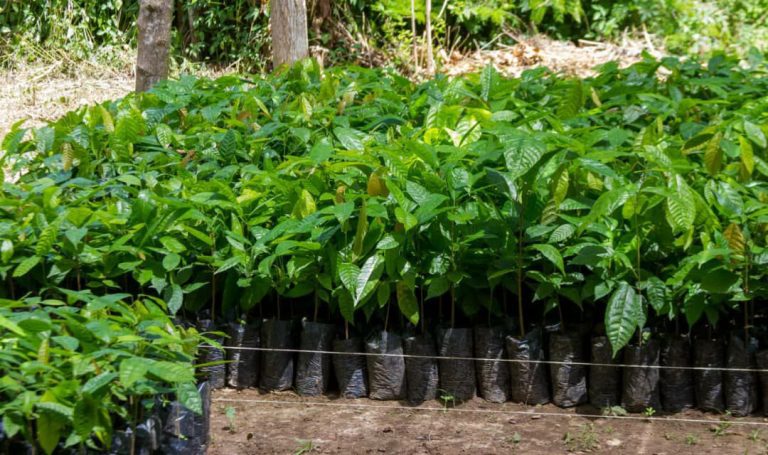 IMG_20240822_090808_043