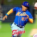 Foto Tigres