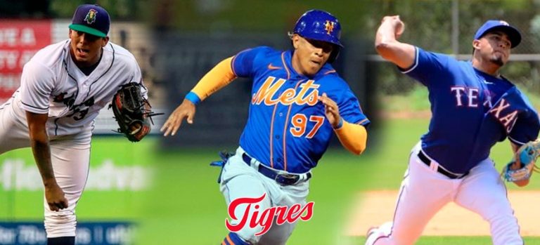 Foto Tigres