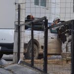 001ba84e-74eb-4bc2-8add-68c24b3a4f93_16-9-discover-aspect-ratio_default_0