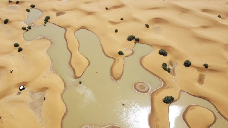Desierto-del-Sahara-inundado-5