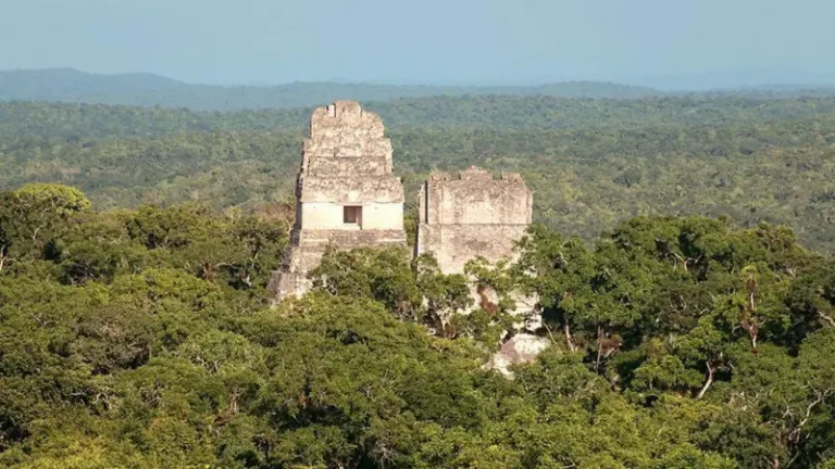Conoce cómo las ciudades mayas sobreviven durante más de un milenio en medio de la selva