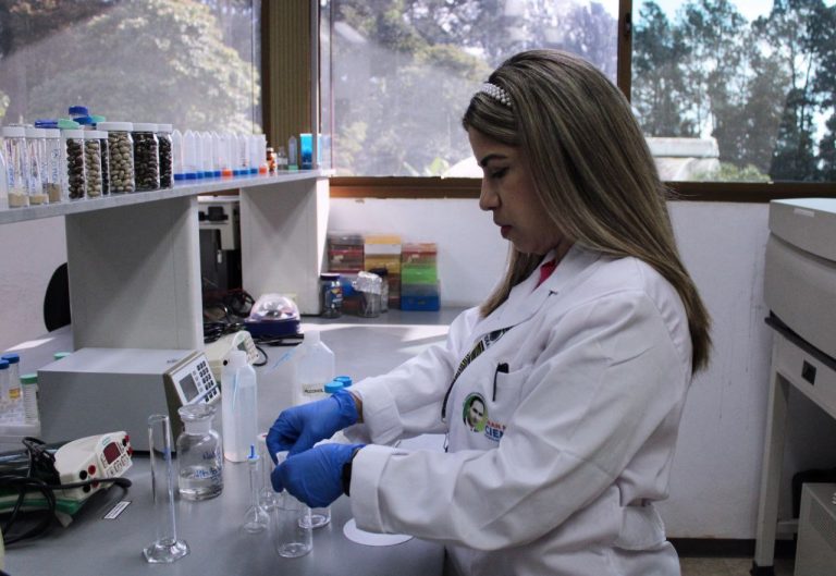 IMG_20241105_182853_035