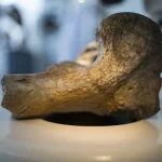 cnne-1762630-credito-nathaly-triana