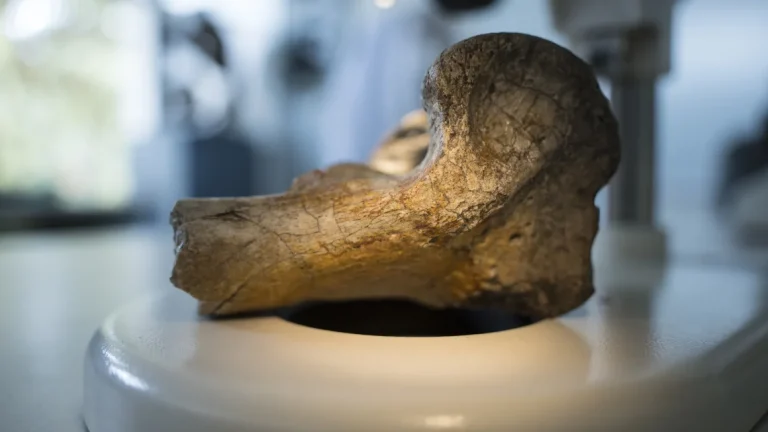 cnne-1762630-credito-nathaly-triana