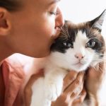 xr:d:DAF6DfDlArQ:1318,j:603906300815299923,t:24040520