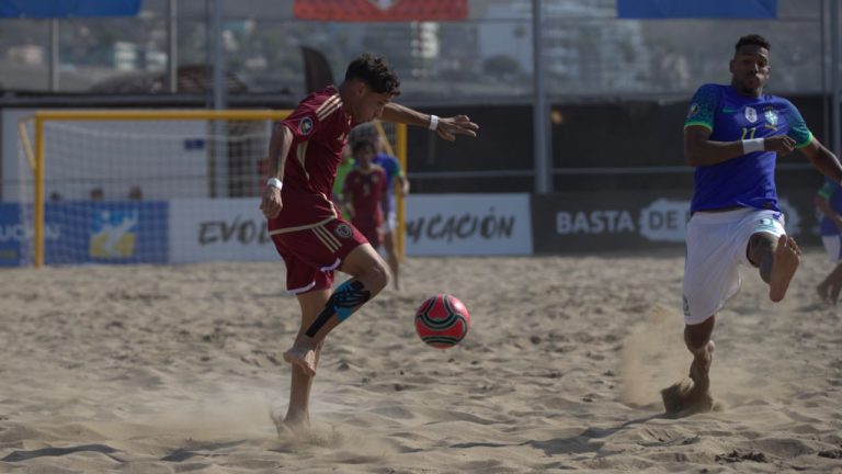 Vinotinto Playa