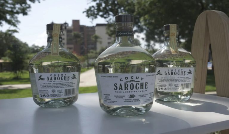 cocuy-lara-protegida