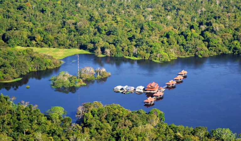 mamiraua-amazonia-brasil