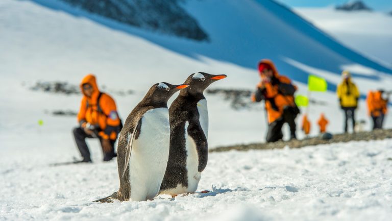 67c07258e9ff716e0064d474