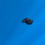 8847e9-5716-4fd4-a431-04ec5545b421-hd-pal-1702533mp4_1702534