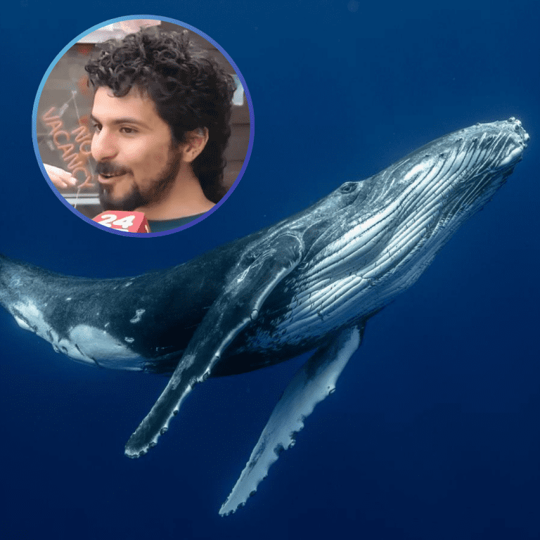 Post Instagram centro de salud medico moderno profesional celeste y blanco_20250213_203521_0000