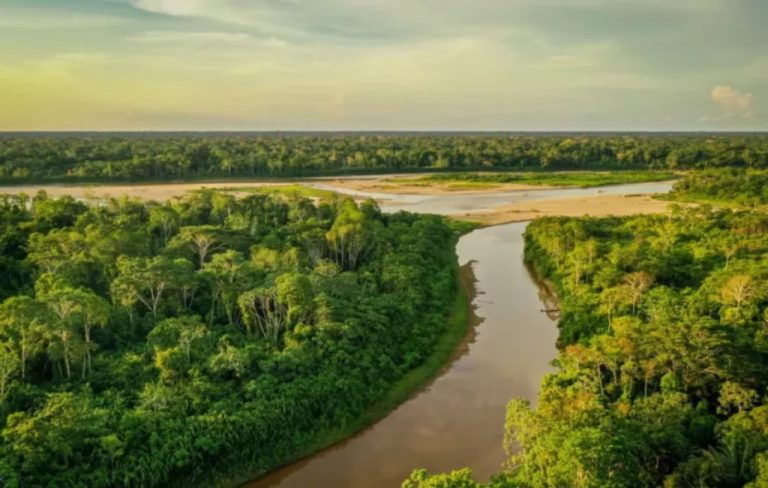 biodiversidad-cop16
