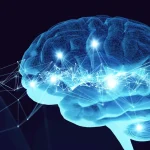 cerebro_b105d5c4_250215000611_1280x720