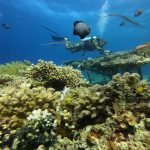 ecosistemas-especies