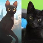 IMG_20250319_185041_750