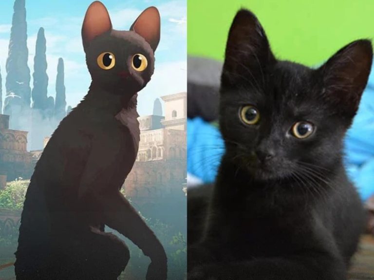 IMG_20250319_185041_750