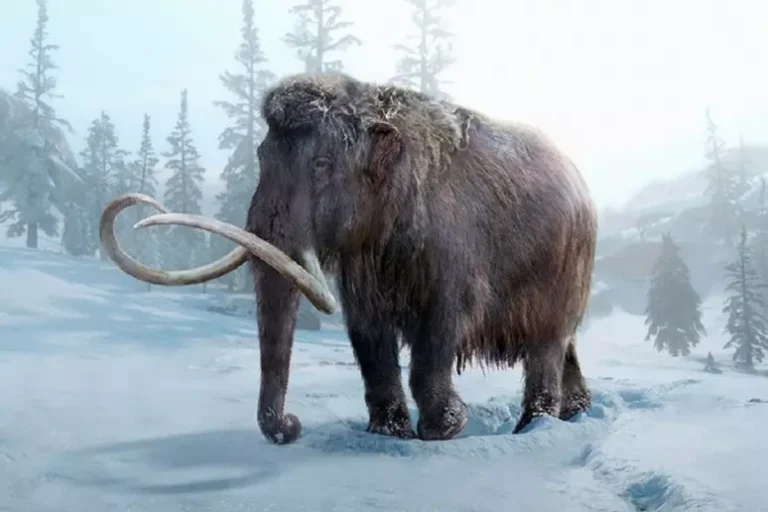 b7432b71d58335690f6afa715a9be340