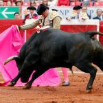 corridas-toros-mexico