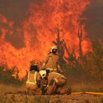 incendios-forestales-araucania