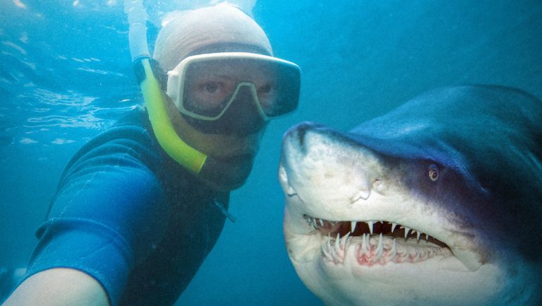 680bbb3d59bf5b16237c2eee