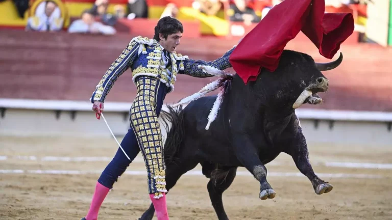 817ffe8e-618a-42c0-90e9-aca831a7d46b_16-9-discover-aspect-ratio_default_0