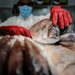 Pero-me-mantengo-en-escenarios-2-14-1068x601