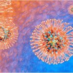 Virus-del-herpes-1