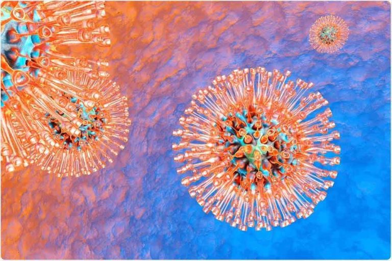 Virus-del-herpes-1
