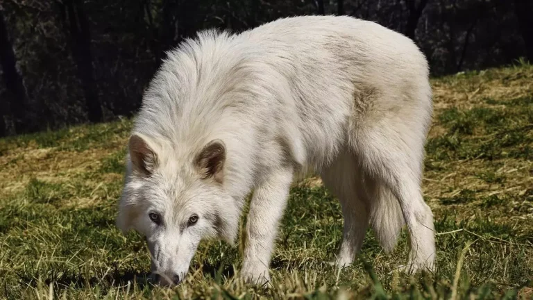 bd4b16d8-7c22-4210-9341-f7d36ec553f9_16-9-discover-aspect-ratio_default_0