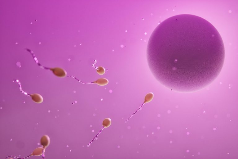 ovum-7733777_1280