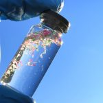 68134490e9ff713a760c2bf6