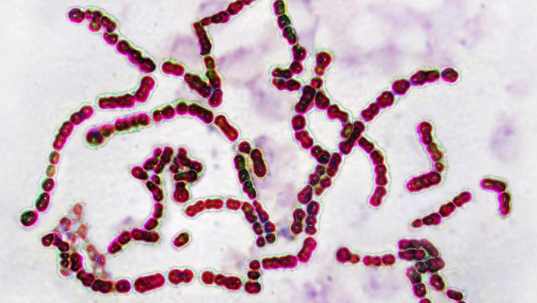 68158db559bf5b78614a7e30