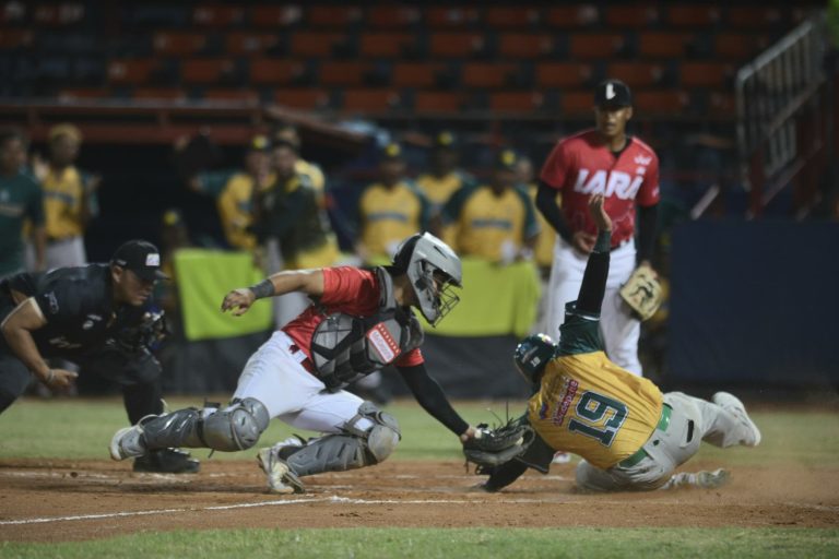 Samanes de Aragua