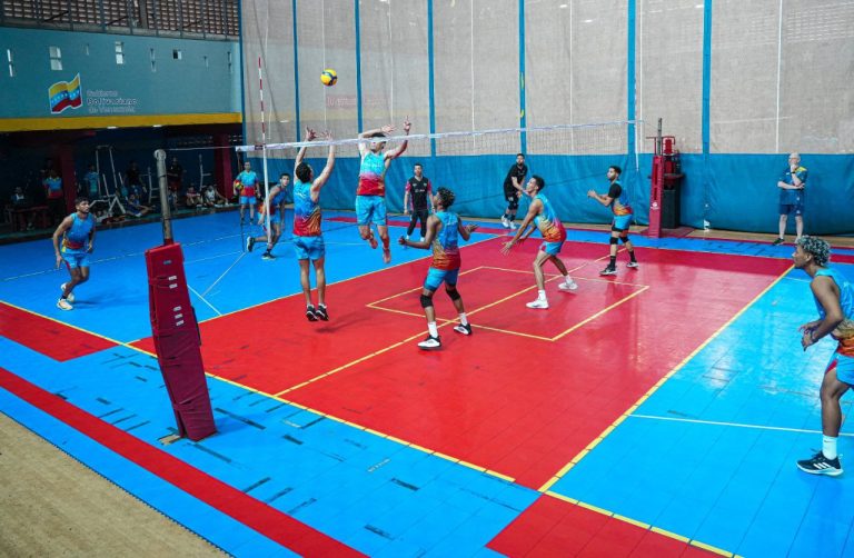 Voleibol