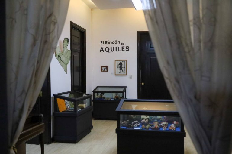 photo_4992553419361332737_y