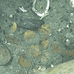 68495e72e9ff717c8b0320f1