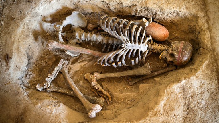 68625044e9ff71314827b031