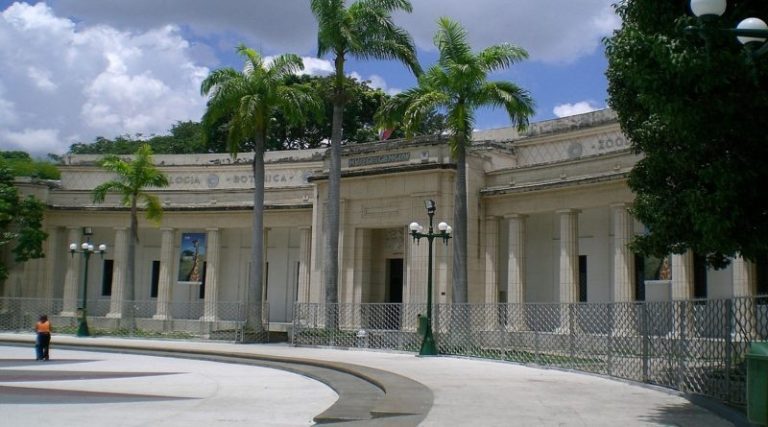 MUSEO-DE-BELLAS-ARTES-800x445