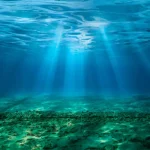OCEANO
