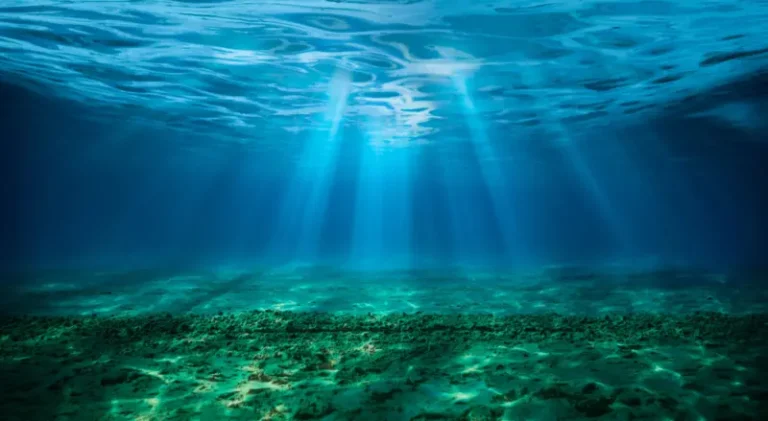 OCEANO