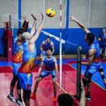 Voleibol