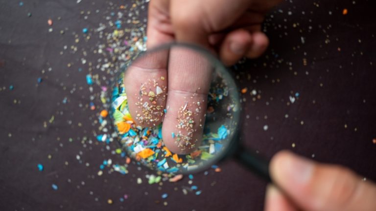 microplastico-penes-contaminacion_shutterstock_2172891881