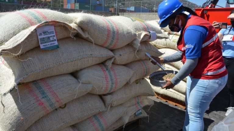 1753800265281321018xg