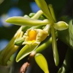 686a6a8059bf5b63c103ce6d