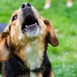 686e7a49e9ff713fba4f2a32