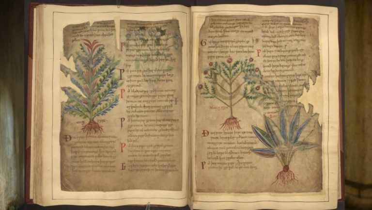 687e616559bf5b666f3b5888