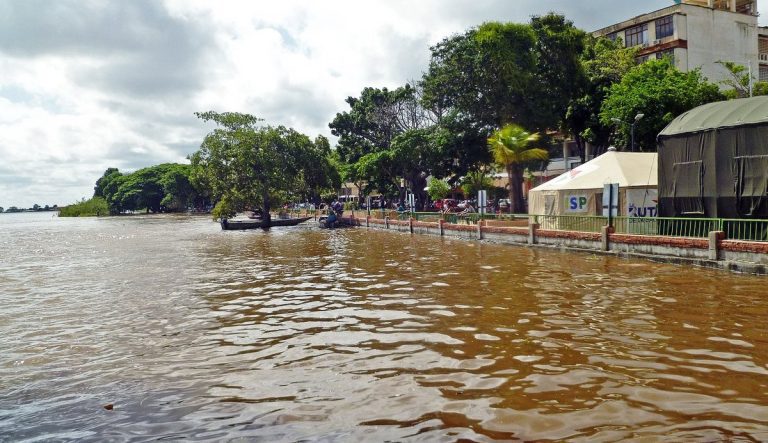 Orinoco-Foto-EcoAvanzada